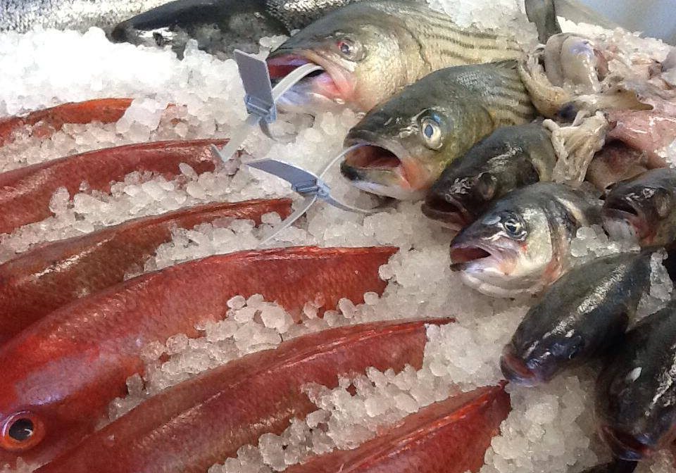 poissons